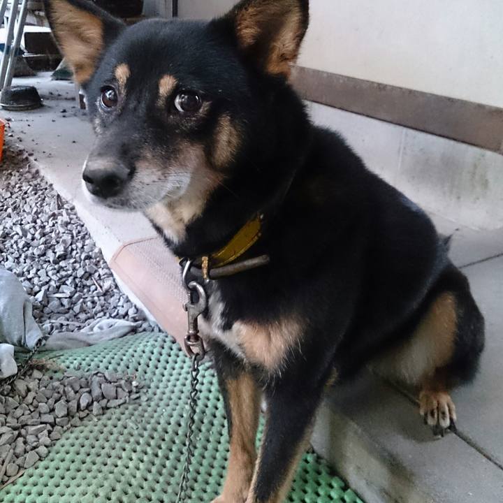 C66408ea a46c 4e34 b17e 762a5688e400