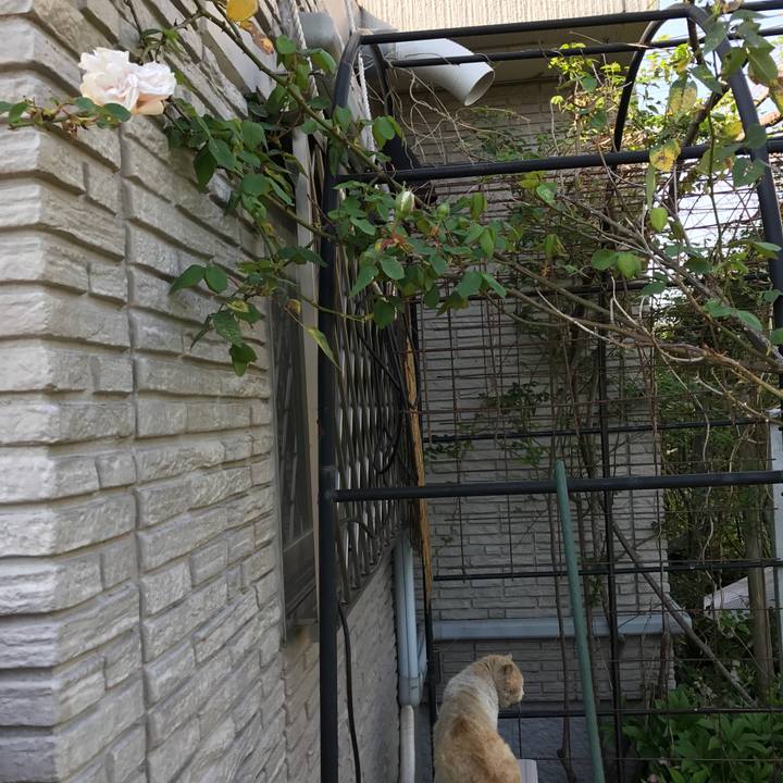 C66421d0 49f9 4270 8995 9de02edd0c21