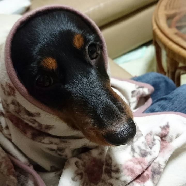 C6643adc 56a4 4fdf b98f 8e382d439f56