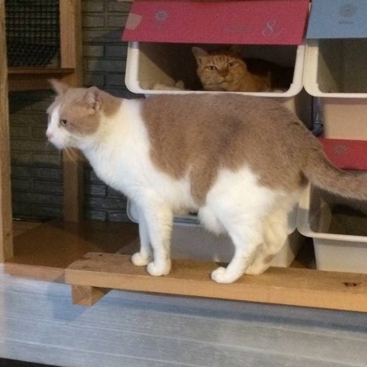 C6643f25 238f 4c05 85a2 50836823a676