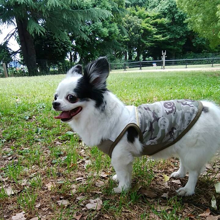 C664c3c6 546d 4b28 9c30 cd393a107047