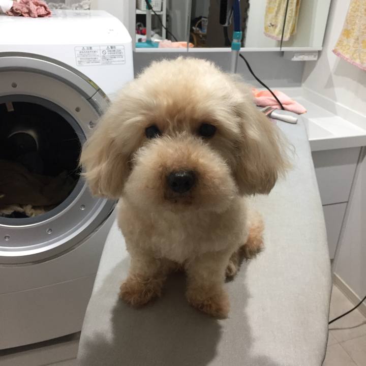 C665aadd c8dd 4df1 abbb ce1c3552823a