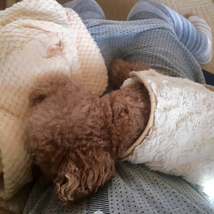 C665b51f 0228 45bb 88a5 2455af596e04