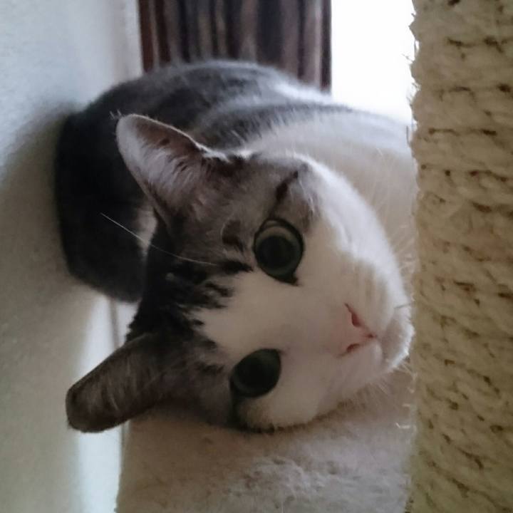 C665dd05 c01b 45a7 aa7b 1ed196c817ed