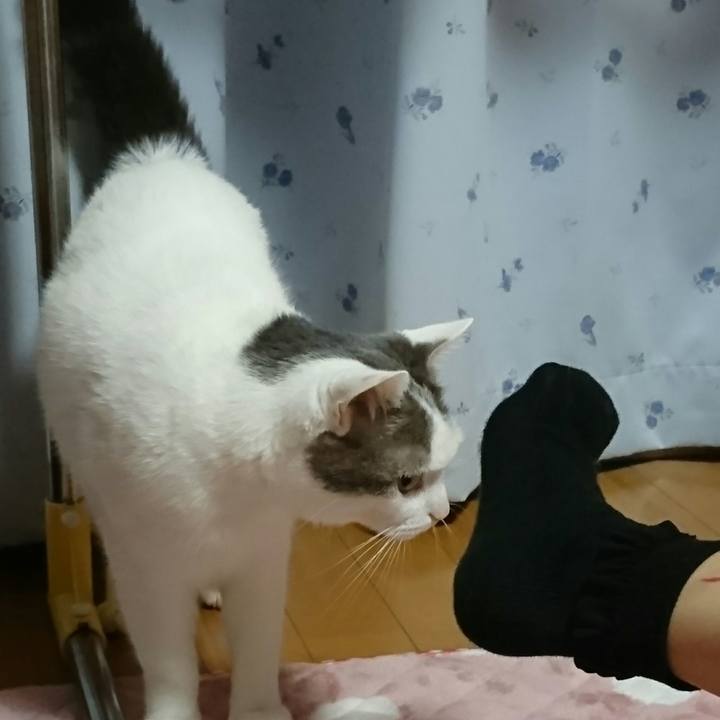 C665ebaf 98c2 4813 b9a9 a548c933ba33