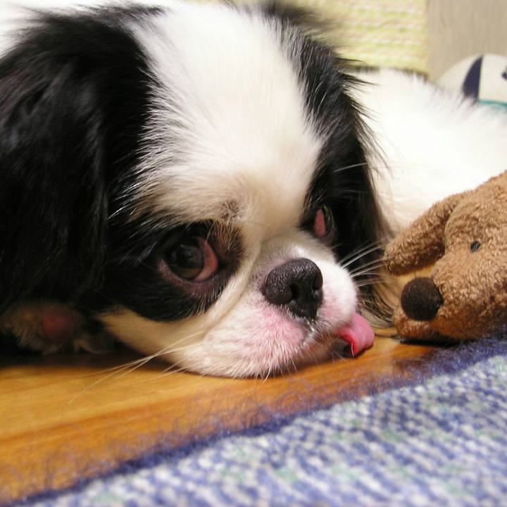 C6664c50 88c0 484b 9ec6 be2349a99807