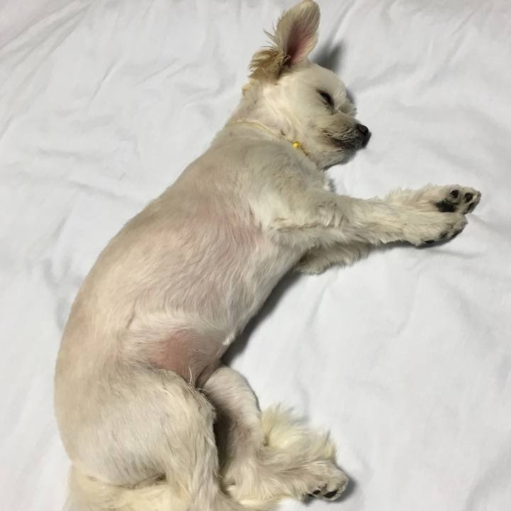 C6667132 bf9c 423a aef2 c6f77fa99382