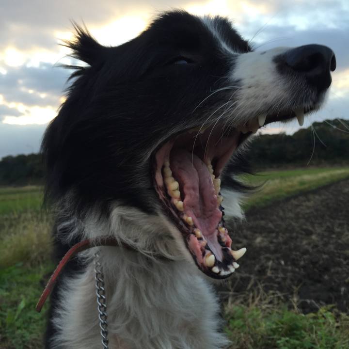 C6667c8b aa9b 4d92 9487 83801ddc1437