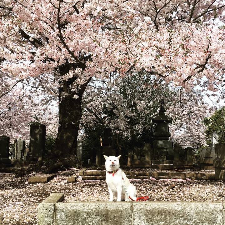 C666ab0f 0135 45f3 b167 bcbe514c3325