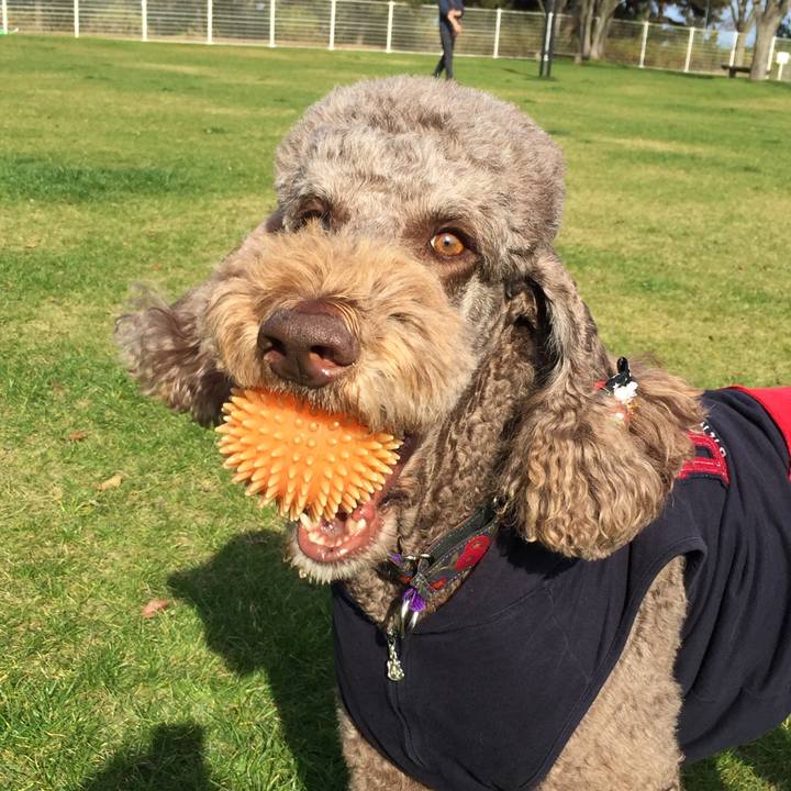 C666ba13 2694 4a2f 9638 be5b9d56b764