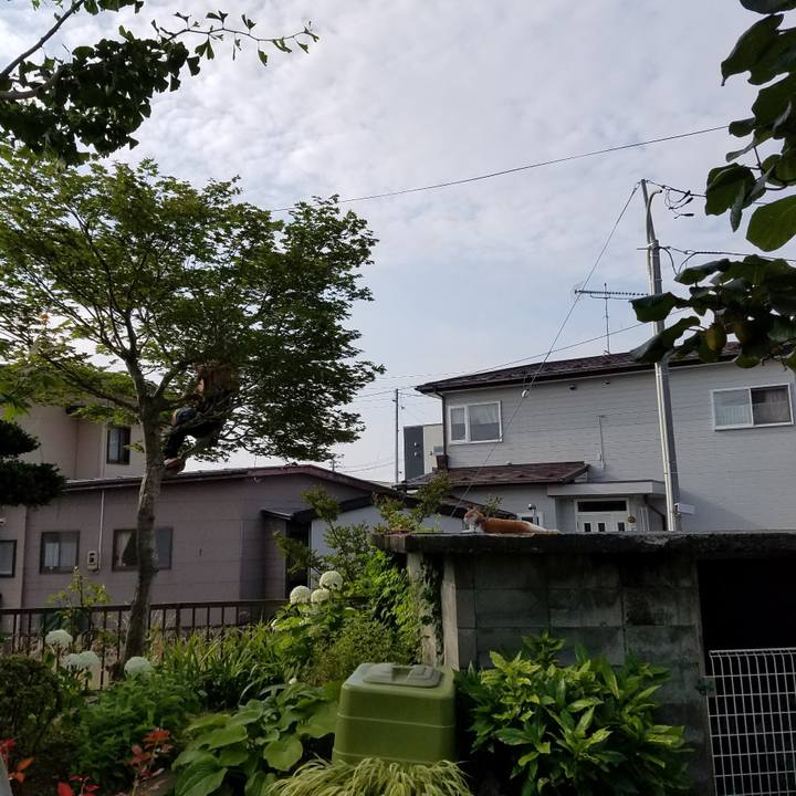 C667010f 5d48 409c b5f7 1efc59369554