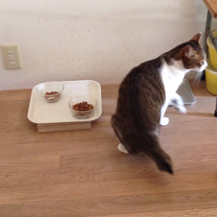 C6670b35 3e86 471d ad9b 5bd0ef6c5ef1