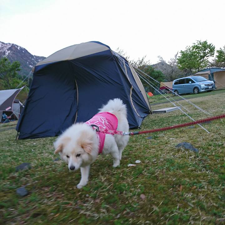 C66717f7 e2eb 4bcb aaba 7c42b8fa8107