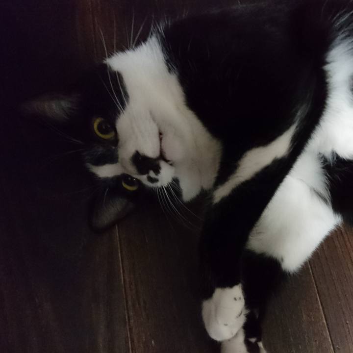 C6672009 51ef 4a06 b64c 734948e9547c