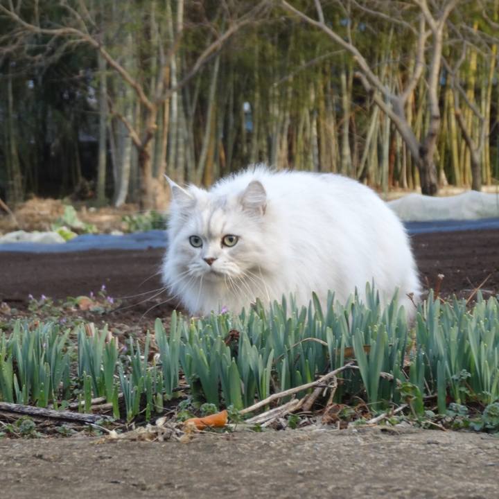 C667628f 44b9 4c12 97cd 30f27da837d6