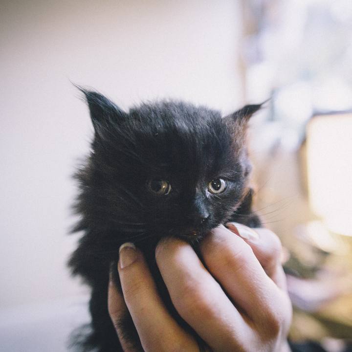 C6678a00 f183 4304 b2c7 882970405c41