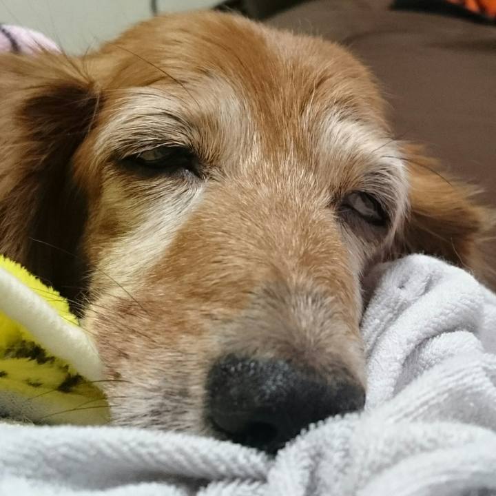 C667cb87 53b9 43dd 8ac5 10de8945789e