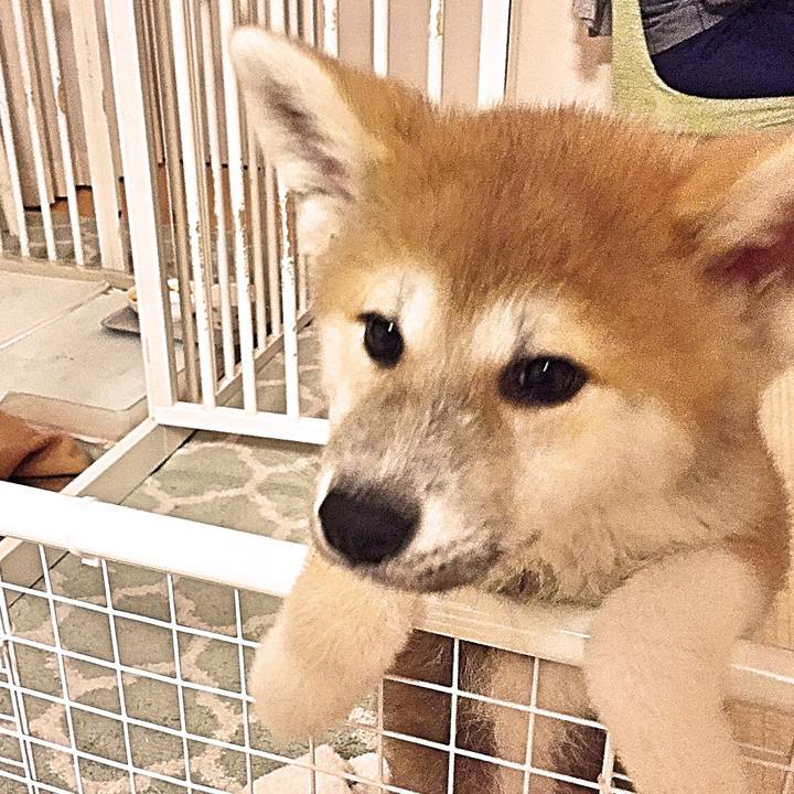 C66809d3 56da 46ef 91ba 0134035924b3