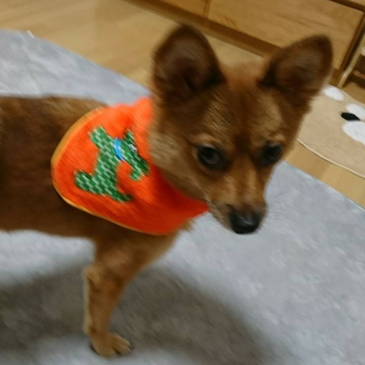 C6681b4e b5f0 4284 86ef e02f13f85a21