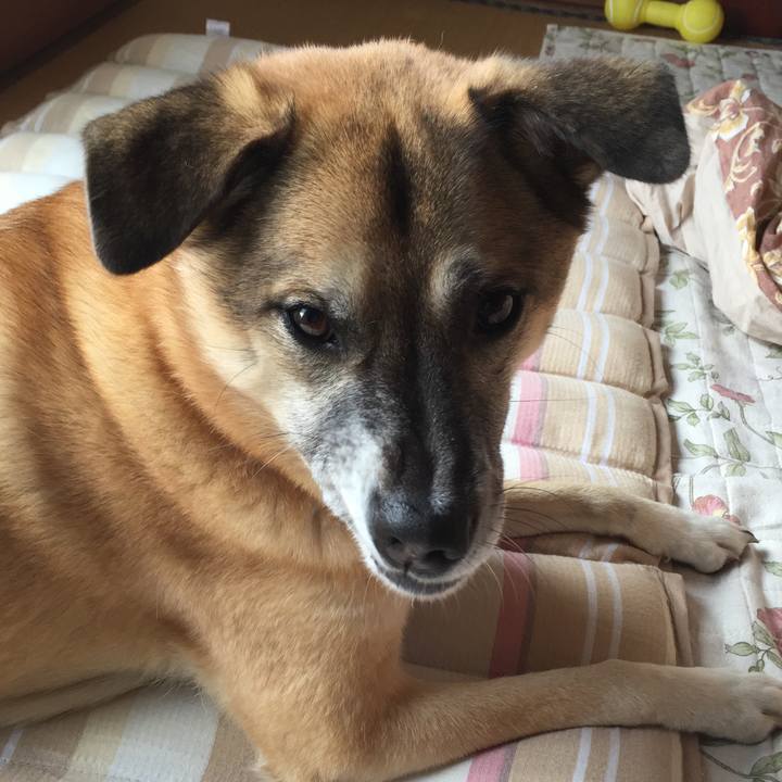 C668966d ee03 4a9f adc2 5465d621028e