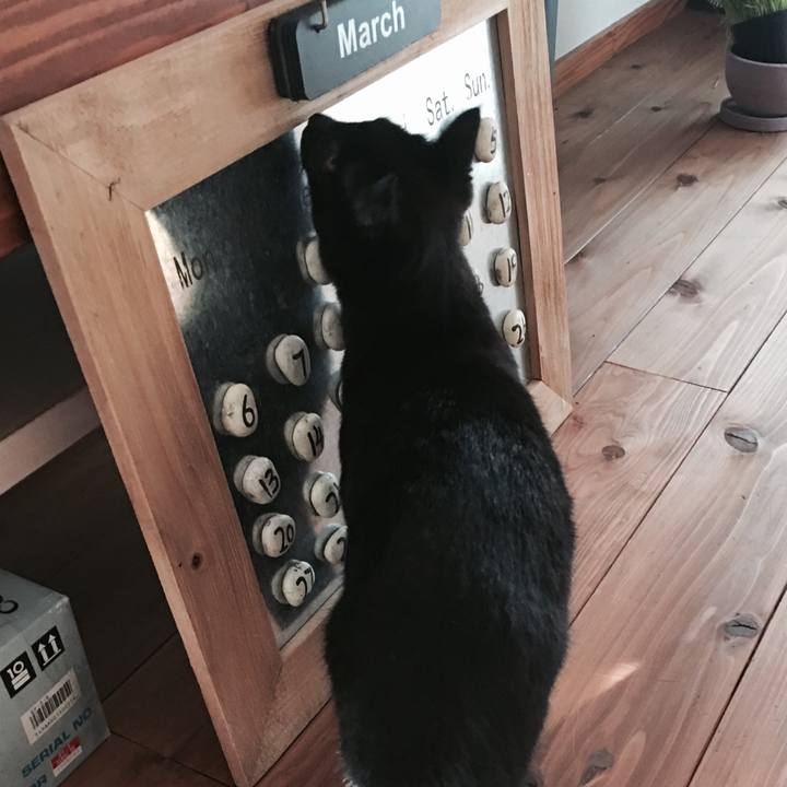 C6692478 70bc 49f1 b86e 60e043ec20c2