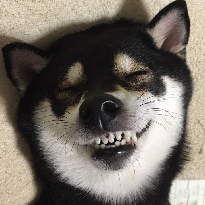 C669f8e8 1915 4b1d a640 571430f4e78e