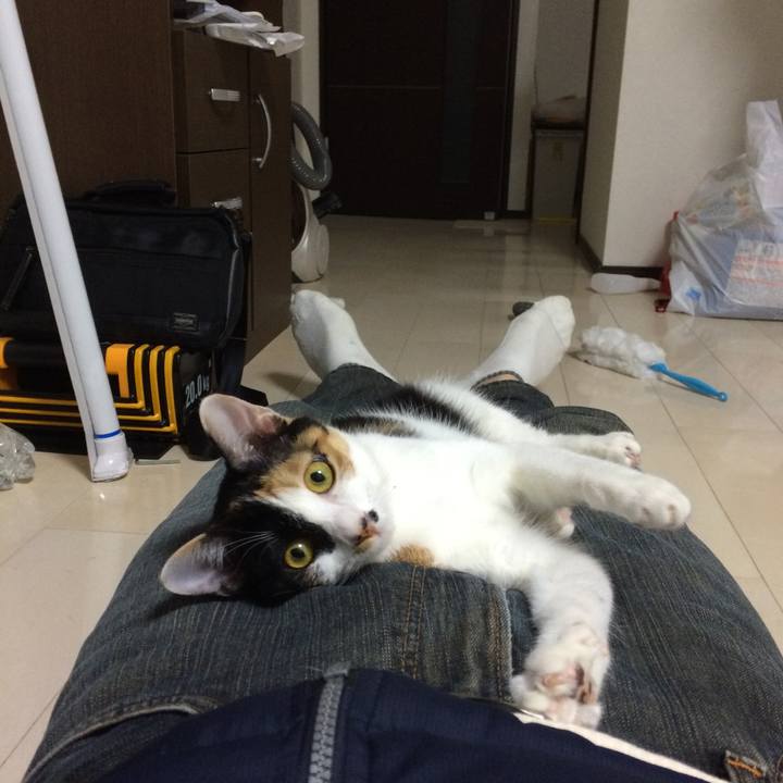 C66a1770 776b 48b7 bfc7 47ee5c889a9f