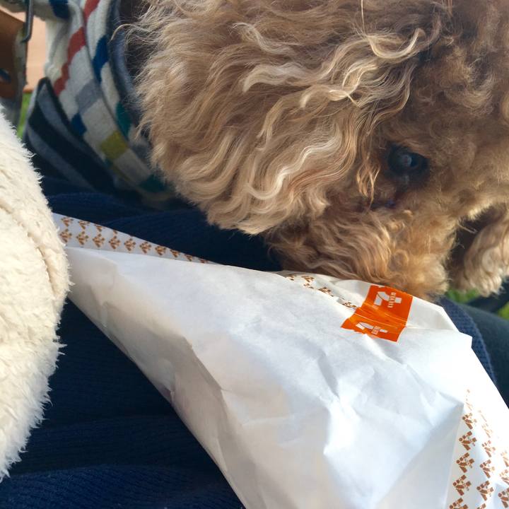 C66a7219 493e 4917 b035 9db990e3866a