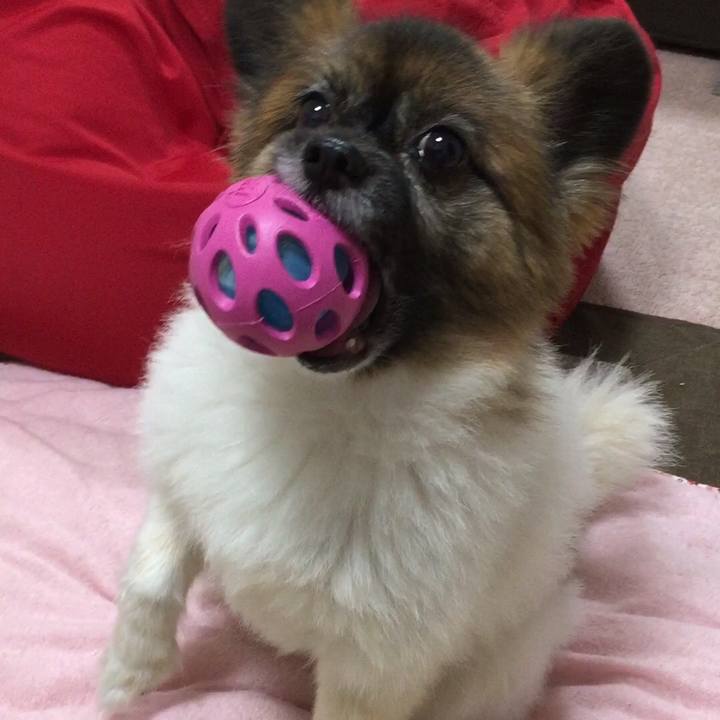 C66ad387 d632 4291 9b79 633455d556b8