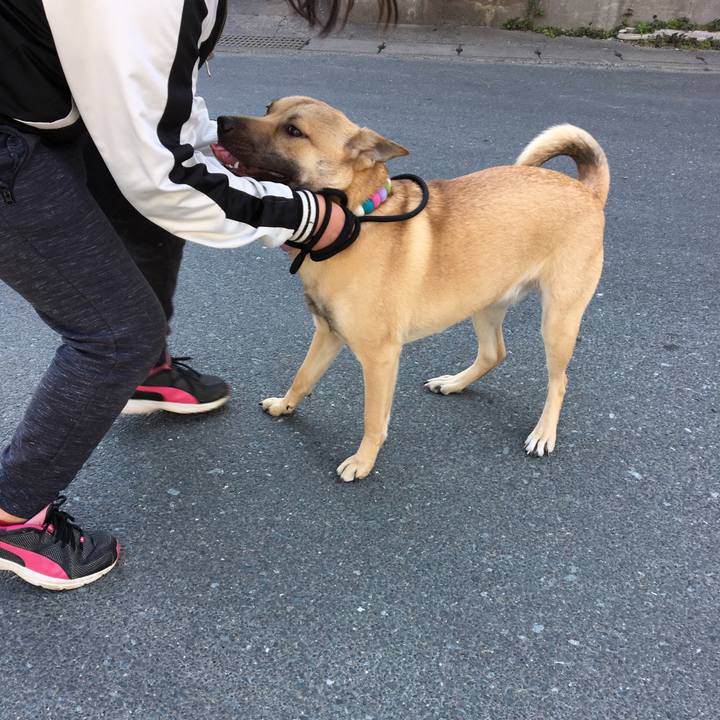 C66af2f8 2bed 48b8 8984 233165eb1d5e