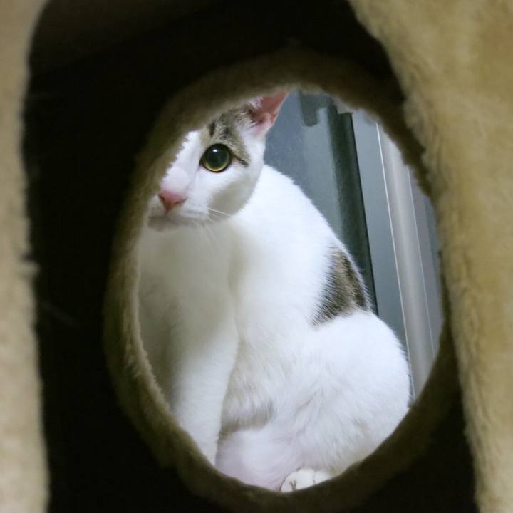 C66c2529 d8b8 45db b663 0f36c306816f