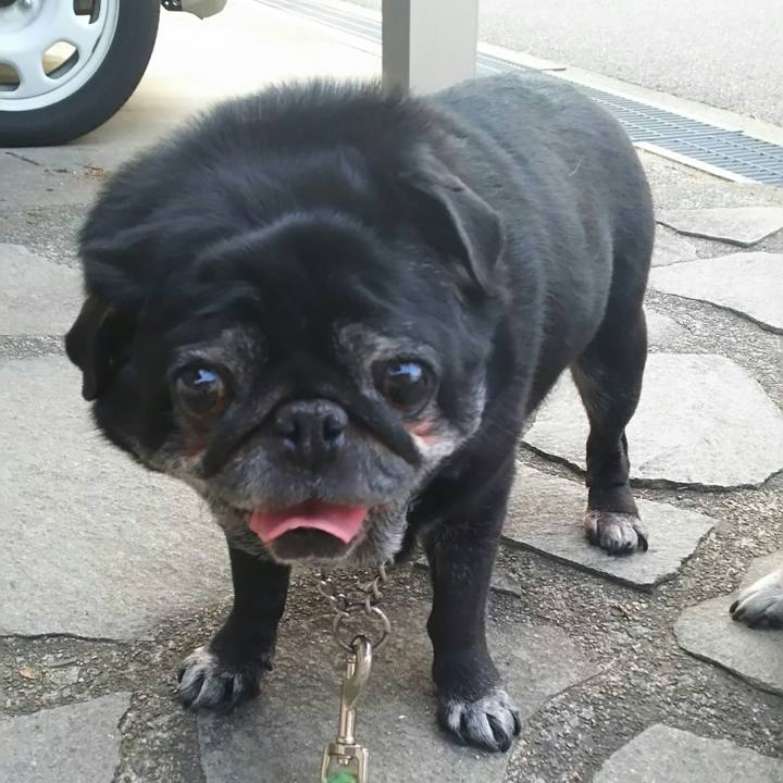 C66c29f7 4cb0 48a5 a348 a1bc9f63ed6f