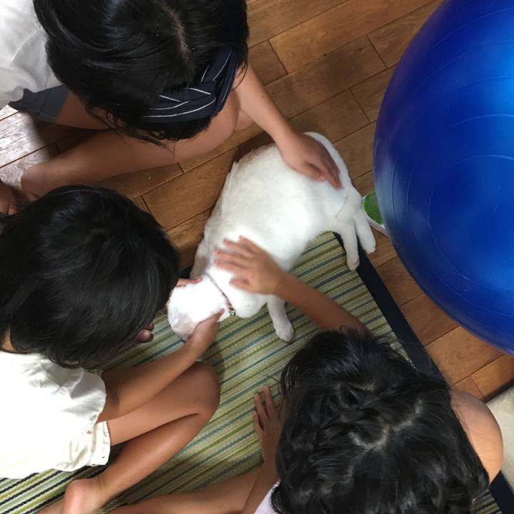 C66cb2d4 b97d 4d59 9049 04981780672b