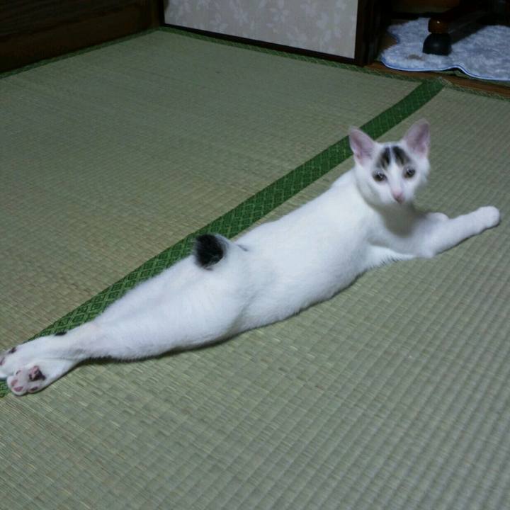 C66ccb06 3308 45f4 919a 2297062441a9