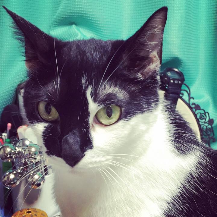 C66e3029 4349 4f5a bc80 63f0d9ffd0e4