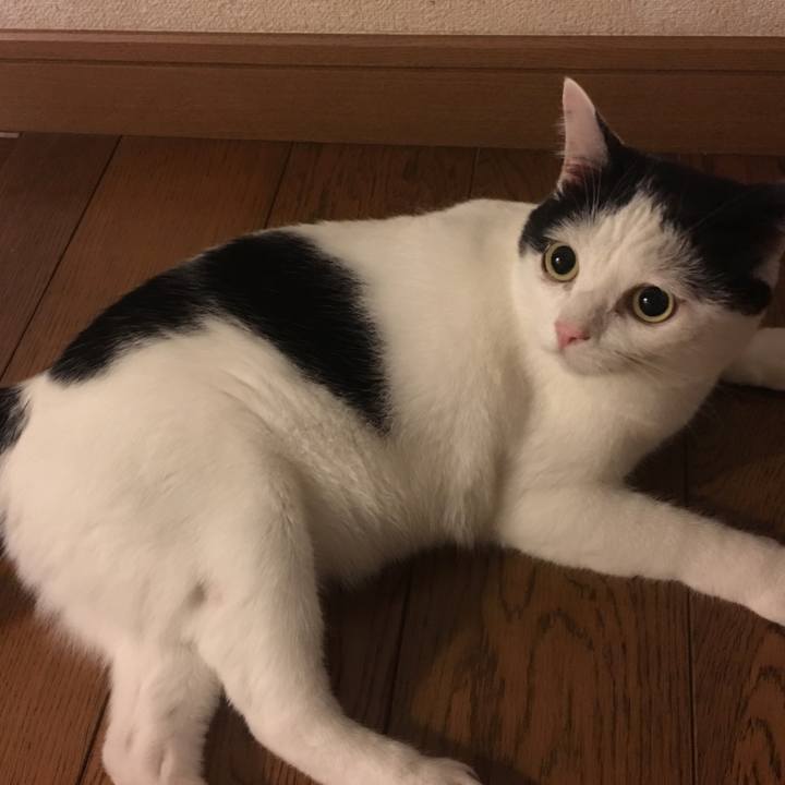 C66e725b cb34 4a53 8a56 86c8ecdb15f0