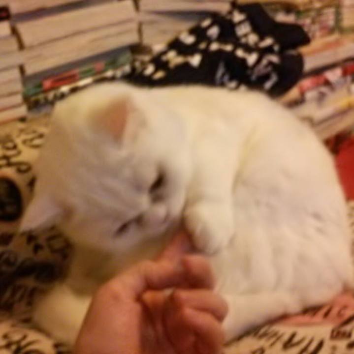 C66ee3e0 5cc1 4cc2 bf52 dd1c57988055