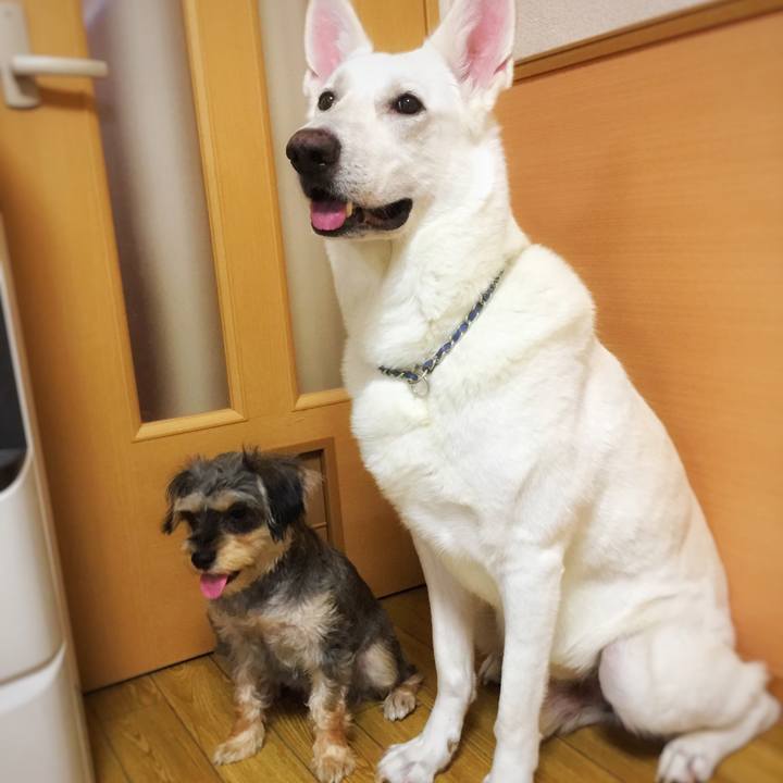 C66f7558 0379 4358 b1c4 31ac3fd31454