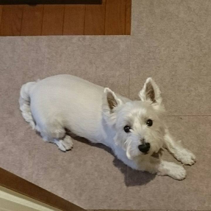 C66ff952 04cb 4b91 9638 724b0b05fcfd