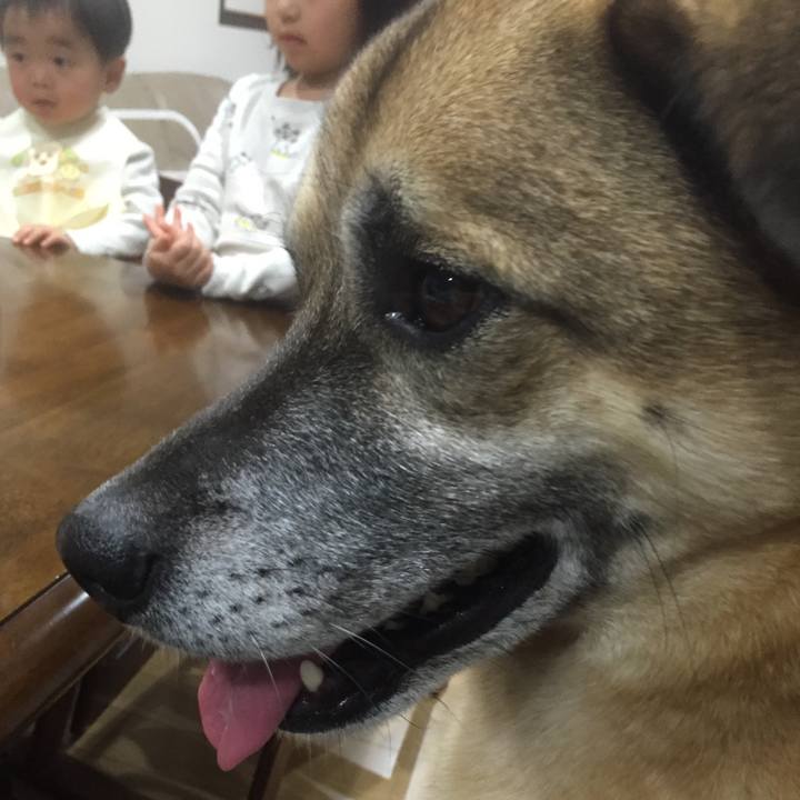 C6707ece 188b 4f3b b711 c710cb546fb3