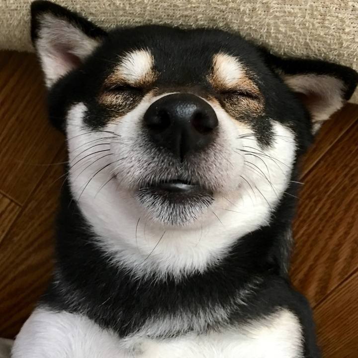 C670840f c9e9 43d4 9391 4ecf0998ac8f