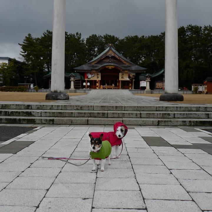 C670f2c6 373b 489f a5ad af06684f8056