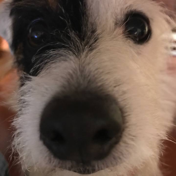 C671af34 1b0a 4b34 bd42 5055a898fc44