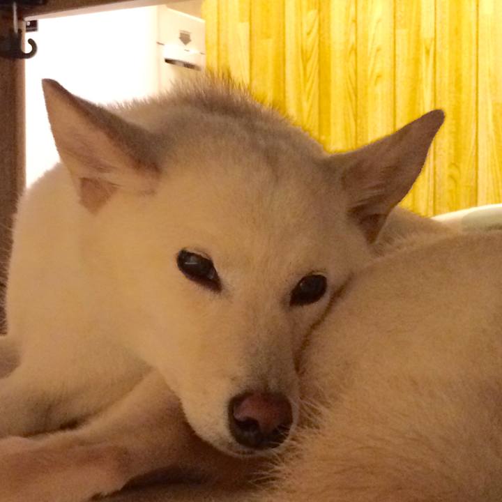 C67291ac d090 4991 810e 39c5836e2884