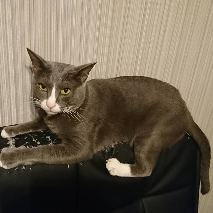 C672a508 9251 4c31 b534 47bbdf1ce691