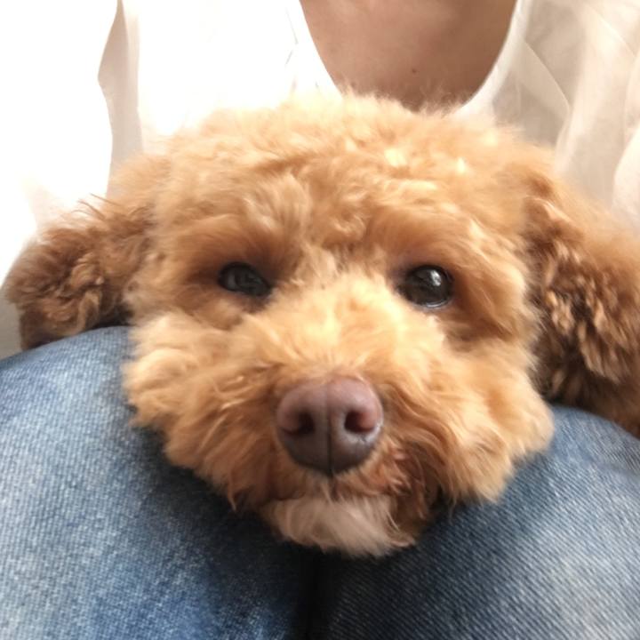 C672d2f5 441d 47a0 b39f d6a87f67c975