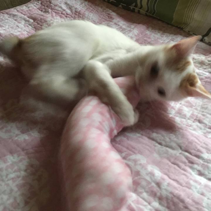 C673095f cc22 4cc5 bc5f e932276a3b18