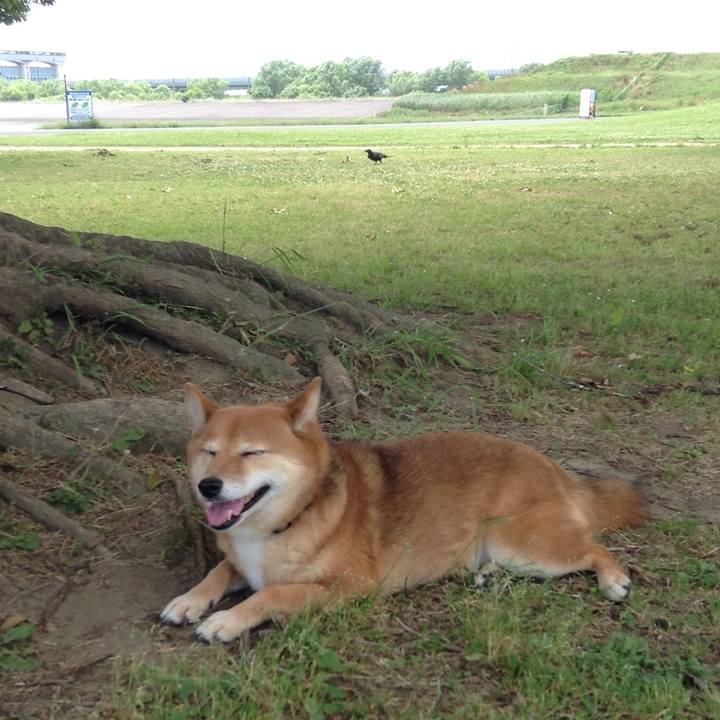 C673bc50 52d0 4696 bbec 51085b67810d