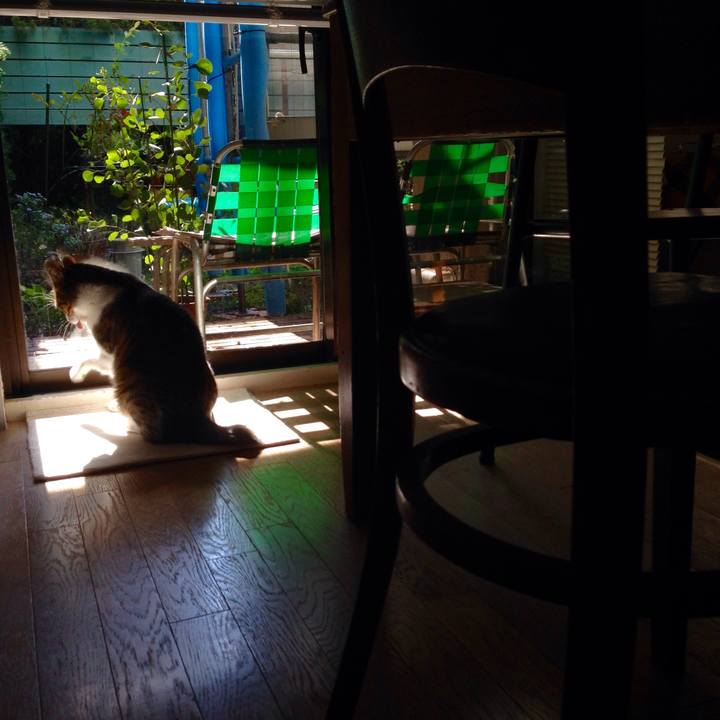 C673d796 4280 4d42 837a 634872a2dca8