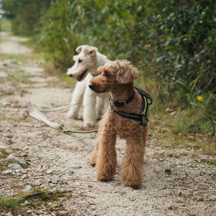 C6743344 1a05 4fa6 acdb 0f2e0baaffd8